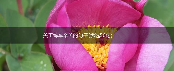 关于练车辛苦的句子(优选50句),第1张