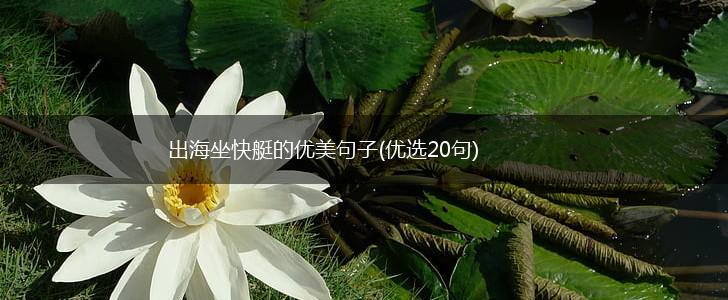 出海坐快艇的优美句子(优选20句),第1张
