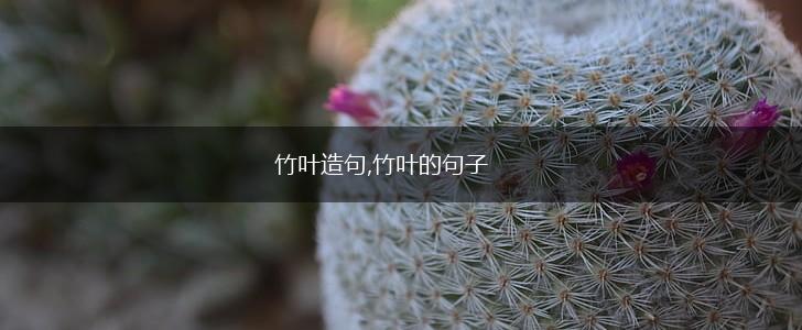 竹叶造句,竹叶的句子,第1张