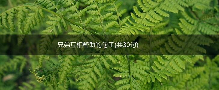 兄弟互相帮助的句子(共30句),第1张