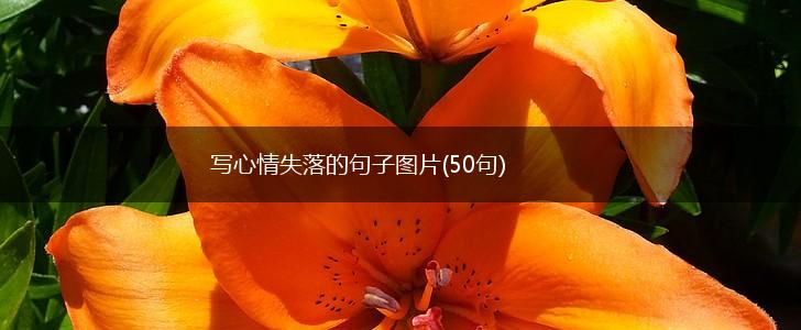 写心情失落的句子图片(50句),第1张