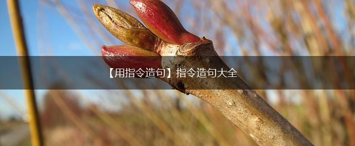 【用指令造句】指令造句大全,第1张