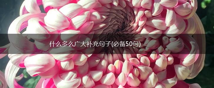什么多么广大补充句子(必备50句),第1张