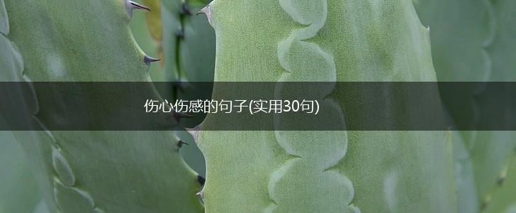 伤心伤感的句子(实用30句),第1张