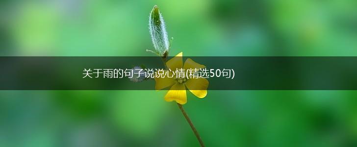 关于雨的句子说说心情(精选50句),第1张