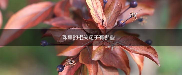 珠串的相关句子有哪些,第1张
