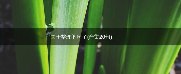 关于整理的句子(合集20句),第1张
