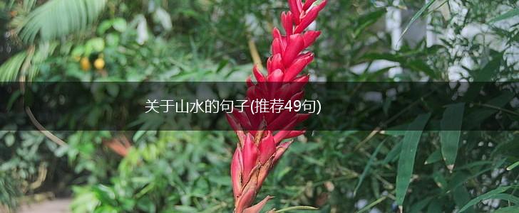 关于山水的句子(推荐49句),第1张