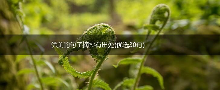 优美的句子摘抄有出处(优选30句),第1张