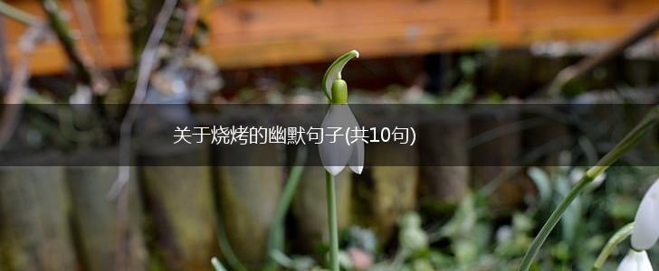 关于烧烤的幽默句子(共10句),第1张