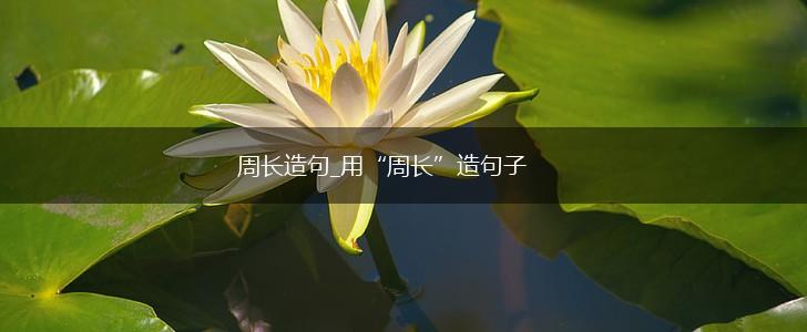 周长造句_用“周长”造句子,第1张