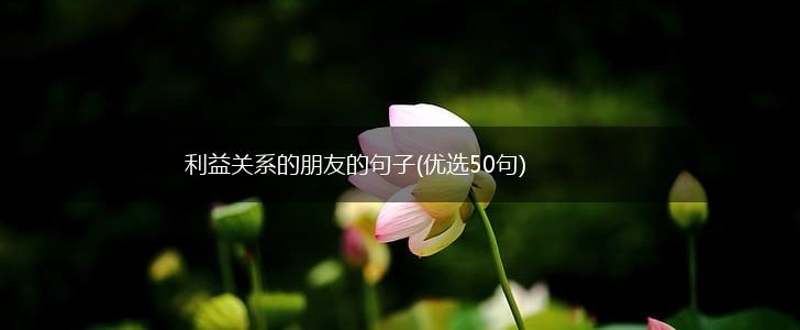 利益关系的朋友的句子(优选50句),第1张