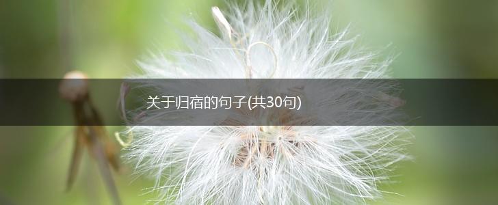 关于归宿的句子(共30句),第1张