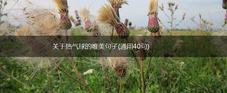 关于热气球的唯美句子(通用40句),第1张