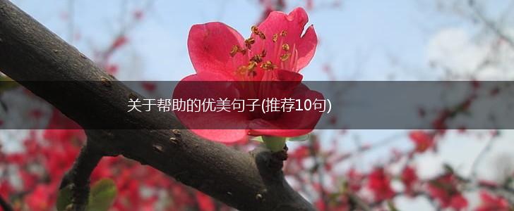 关于帮助的优美句子(推荐10句),第1张