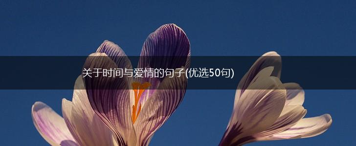 关于时间与爱情的句子(优选50句),第1张