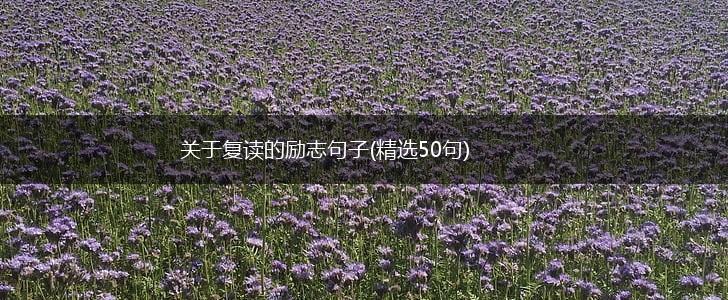 关于复读的励志句子(精选50句),第1张