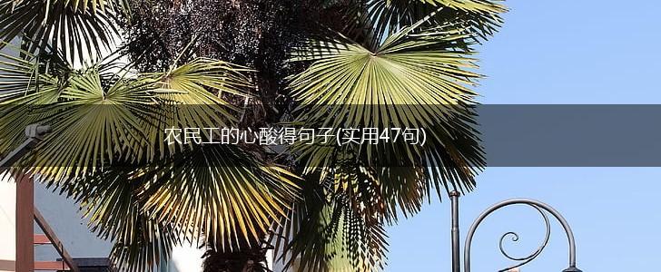 农民工的心酸得句子(实用47句),第1张