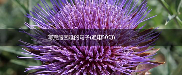 写克服困难的句子(通用50句),第1张