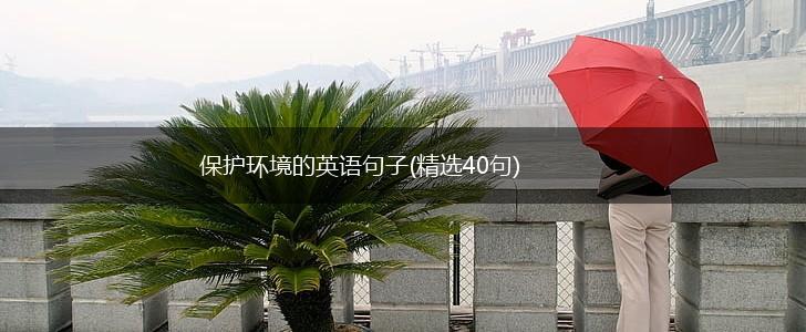保护环境的英语句子(精选40句),第1张