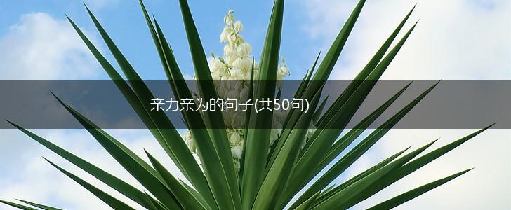 亲力亲为的句子(共50句),第1张