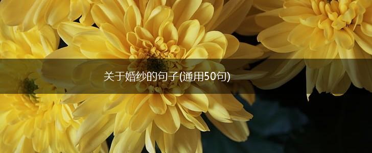关于婚纱的句子(通用50句),第1张