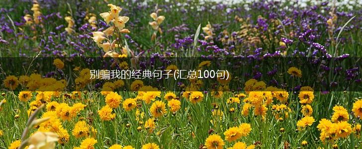 别骗我的经典句子(汇总100句),第1张