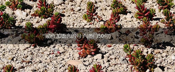 动作加语言的句子(热门50句),第1张