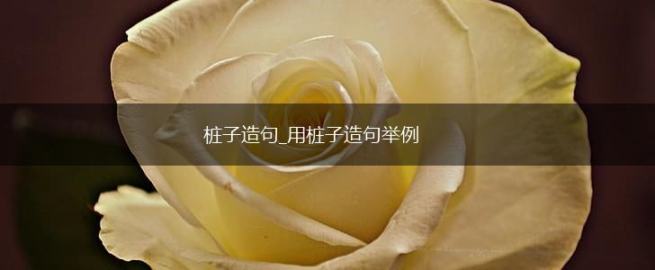 桩子造句_用桩子造句举例,第1张