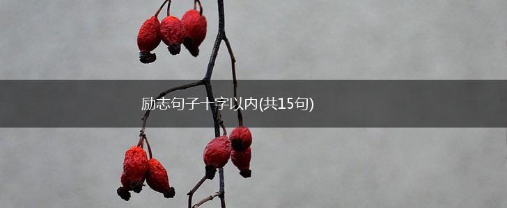 励志句子十字以内(共15句),第1张