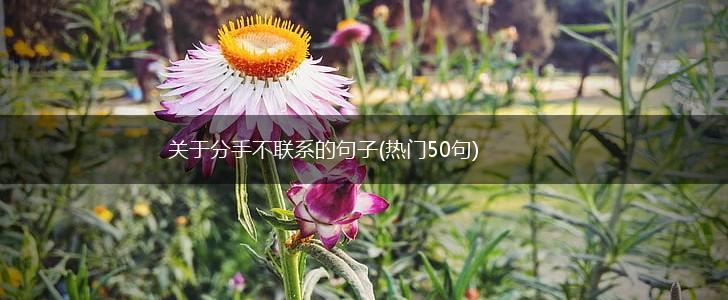 关于分手不联系的句子(热门50句),第1张