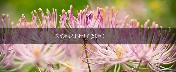 关心他人的句子(50句),第1张