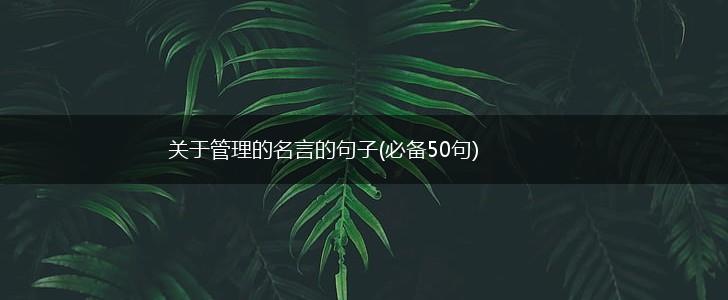 关于管理的名言的句子(必备50句),第1张