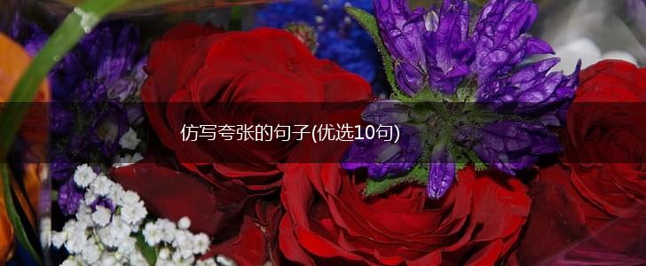 仿写夸张的句子(优选10句),第1张