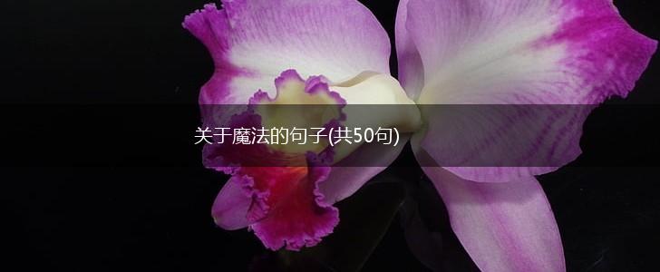 关于魔法的句子(共50句),第1张