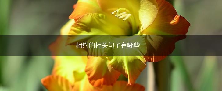 相约的相关句子有哪些,第1张
