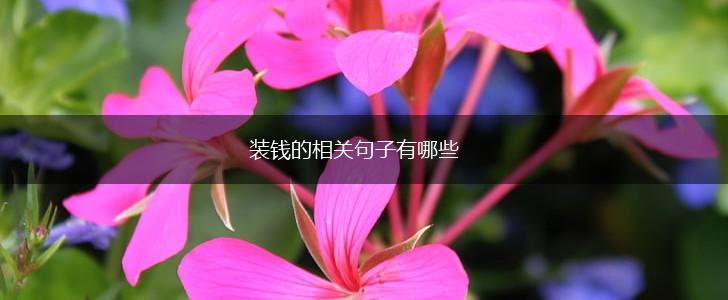装钱的相关句子有哪些,第1张