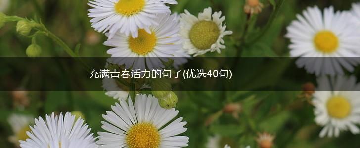 充满青春活力的句子(优选40句),第1张