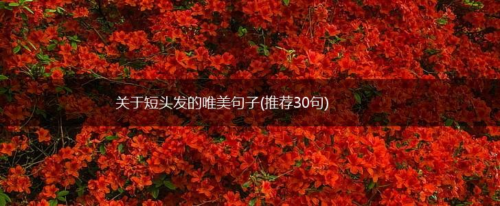 关于短头发的唯美句子(推荐30句),第1张