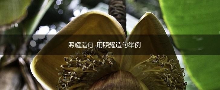 照耀造句_用照耀造句举例,第1张