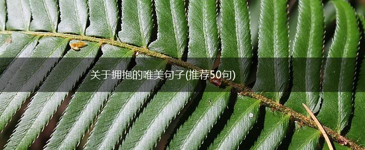 关于拥抱的唯美句子(推荐50句),第1张