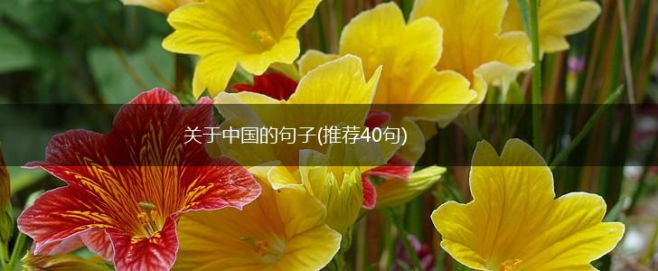关于中国的句子(推荐40句),第1张
