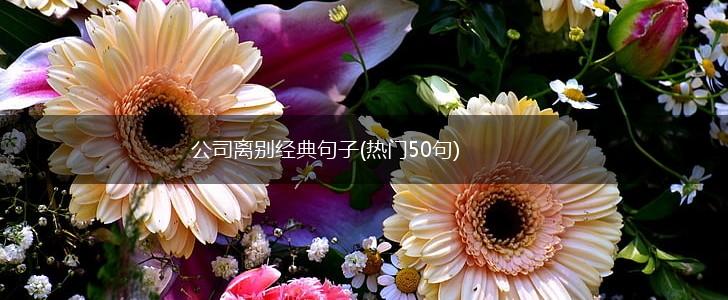 公司离别经典句子(热门50句),第1张