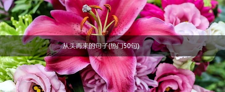 从头再来的句子(热门50句),第1张