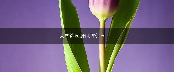天毕造句,用天毕造句,第1张