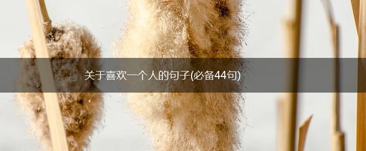关于喜欢一个人的句子(必备44句),第1张