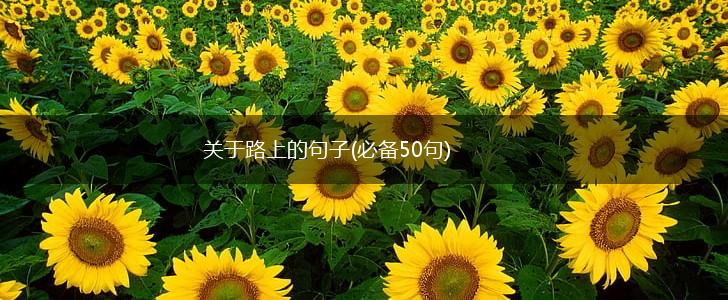关于路上的句子(必备50句),第1张