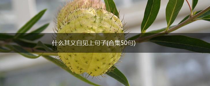 什么其义自见上句子(合集50句),第1张