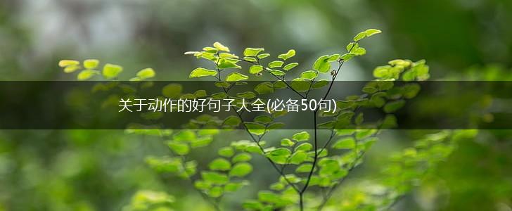 关于动作的好句子大全(必备50句),第1张