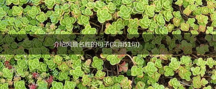 介绍风景名胜的句子(实用51句),第1张
